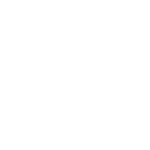 Disability Support