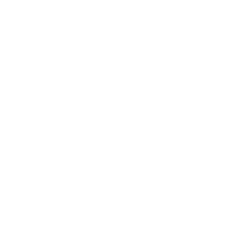 Gender & Sexual Identity